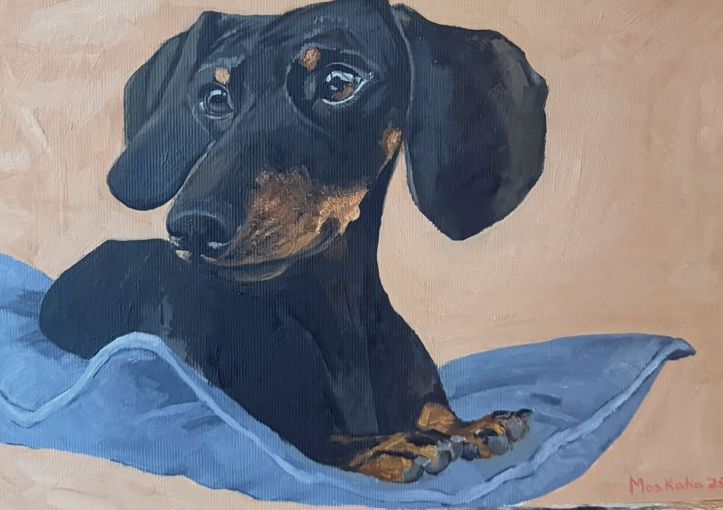 Dachshund on a Blue Blanket, 2024. Oil on canvas.